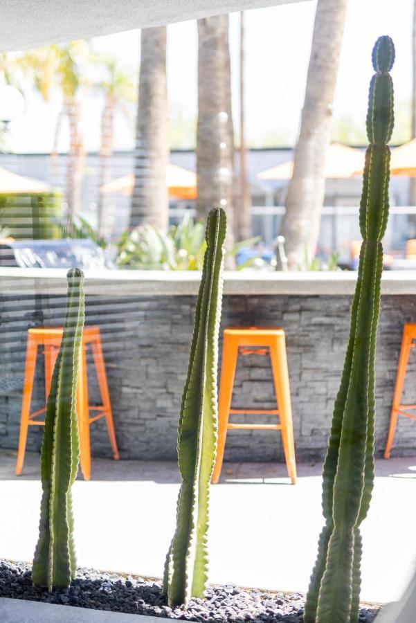 The Palm Springs Hotel Exterior foto